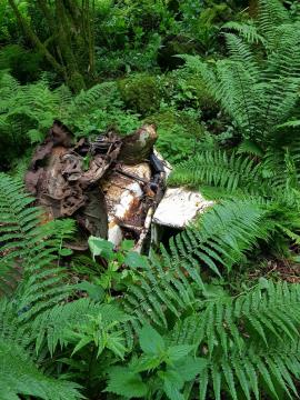 Sanacija črnega odlagališča – Banova jama 042